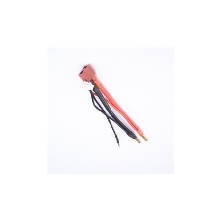 CABLE ADAPTATEUR HARDCASE 4MM / DEAN / 2S 12CM
