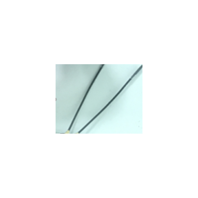 ANTENNE 2.4GHZ - SWELLPRO SPRY+