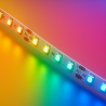 LEDS