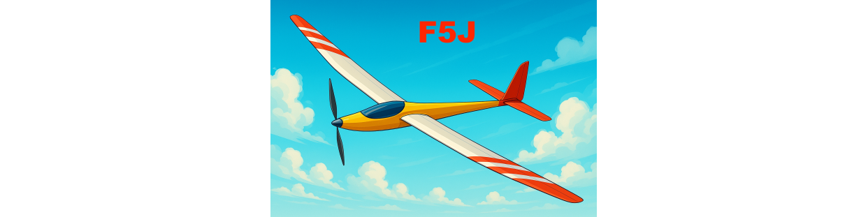 F5J (Planeur)