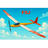 F5J (Planeur)