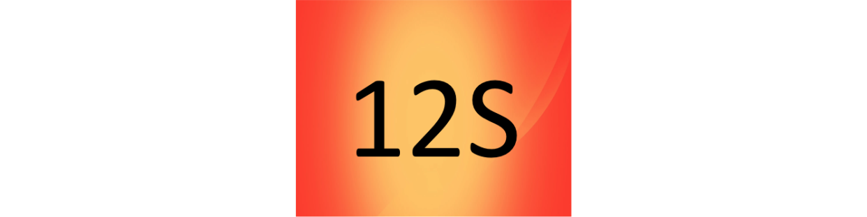 12S (44,4v)