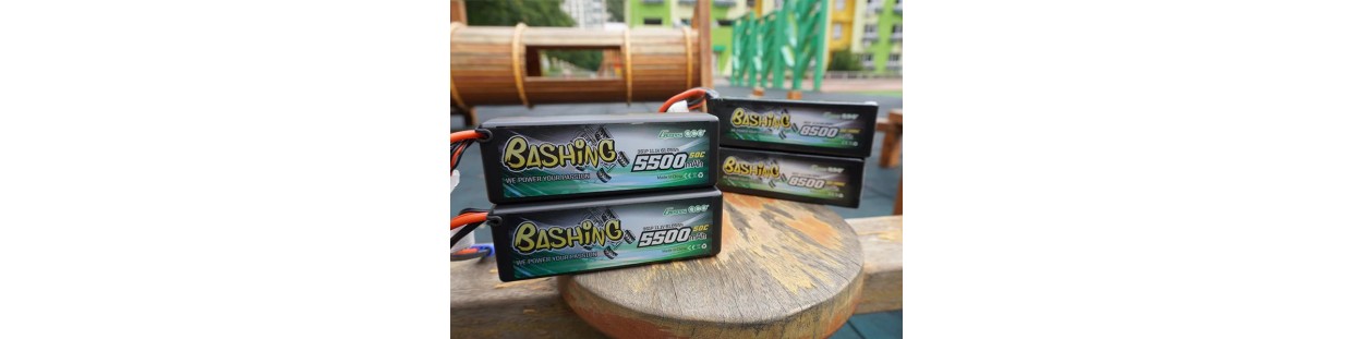 BASHING