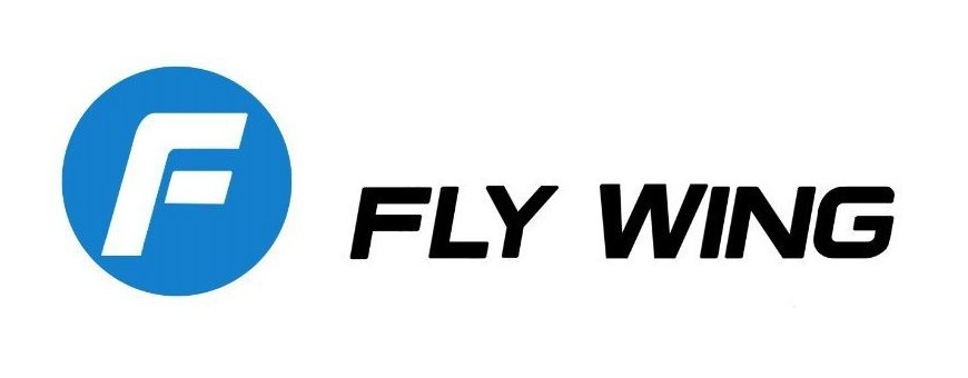 FLY WING